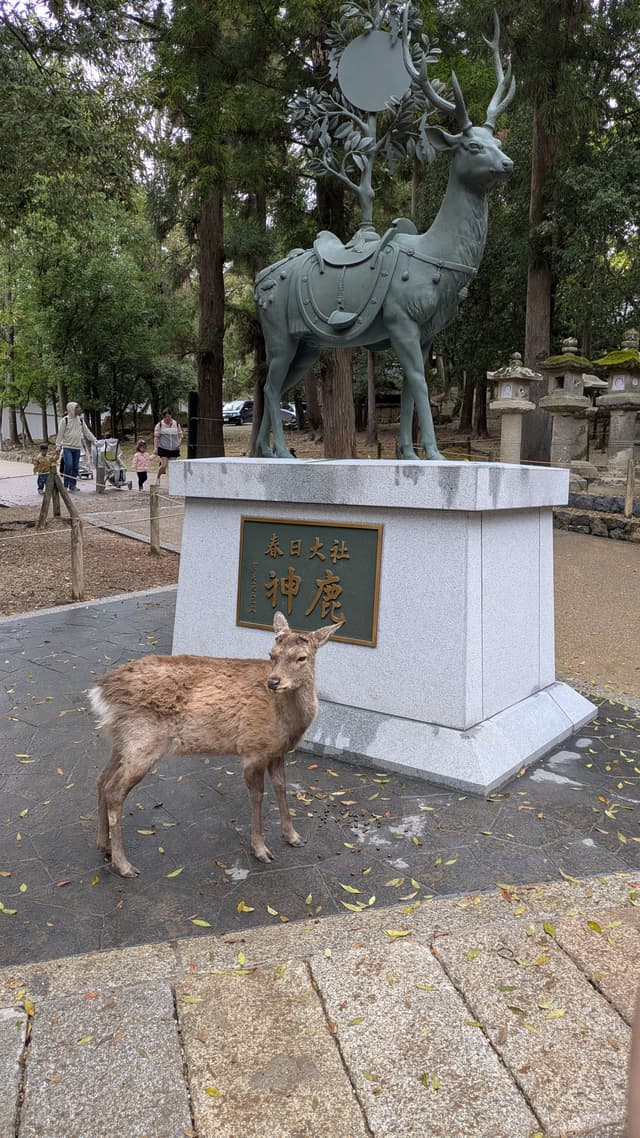 Shrine