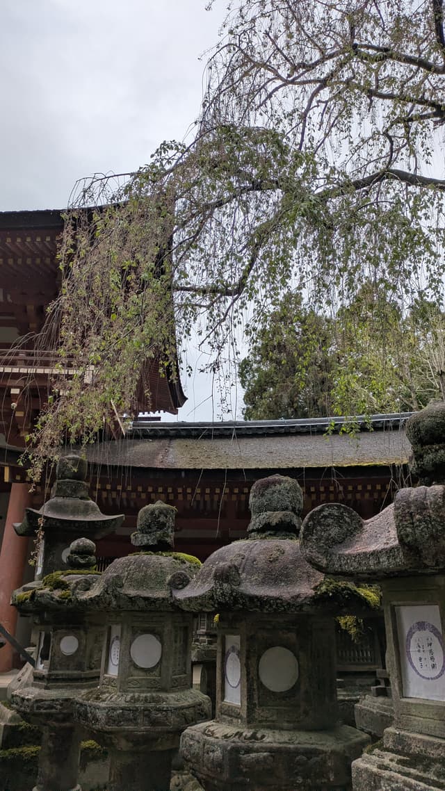 Arashiyama