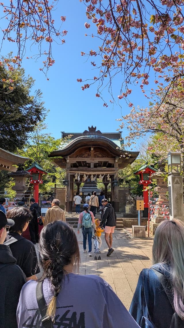 Arashiyama Bamboo Forest